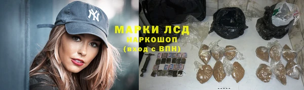 молекула духа Гвардейск