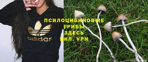 spice Покров