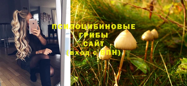 spice Покров