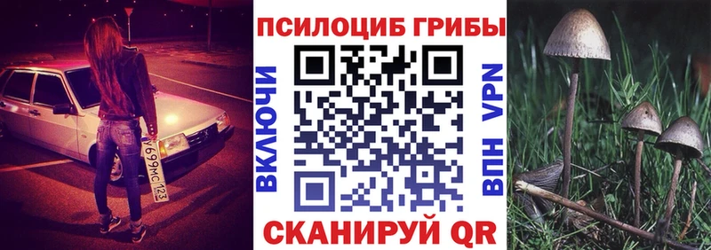 купить закладку  Солигалич  Псилоцибиновые грибы прущие грибы 